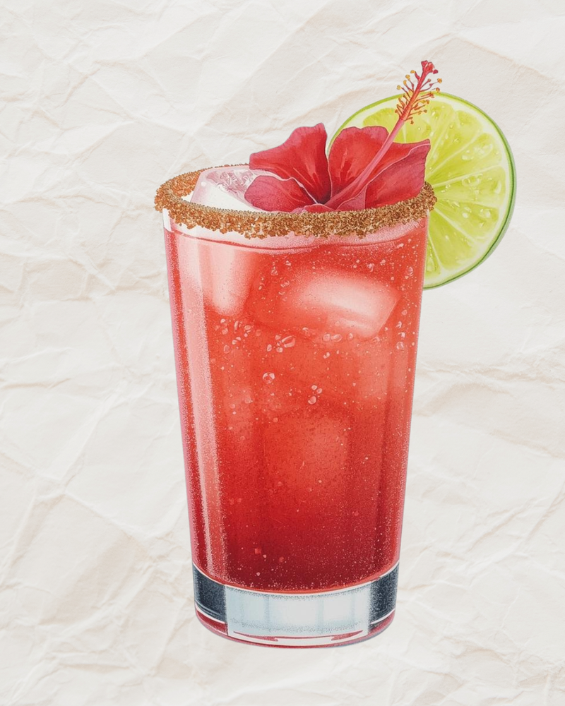 Hibiscus Paloma
